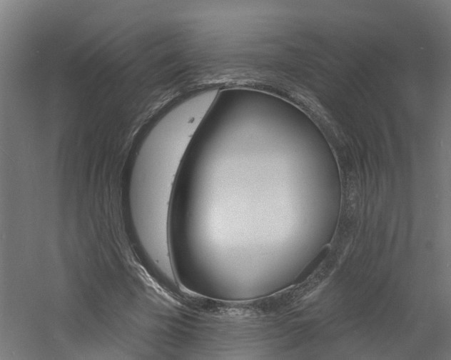 X0000060790585200511101036