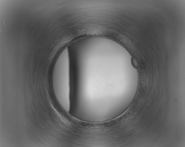 X0000060790586200511101036