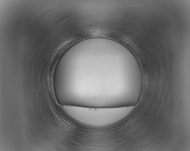 X0000060790587200511101036