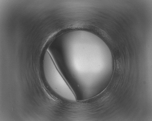 X0000060790588200511101036