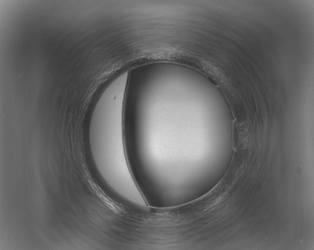 X0000060790589200511101036