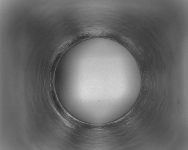 X0000060790590200511101036