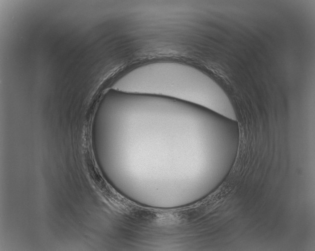 X0000060790591200511101036