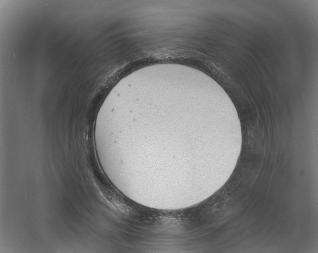 X0000060790592200511101036