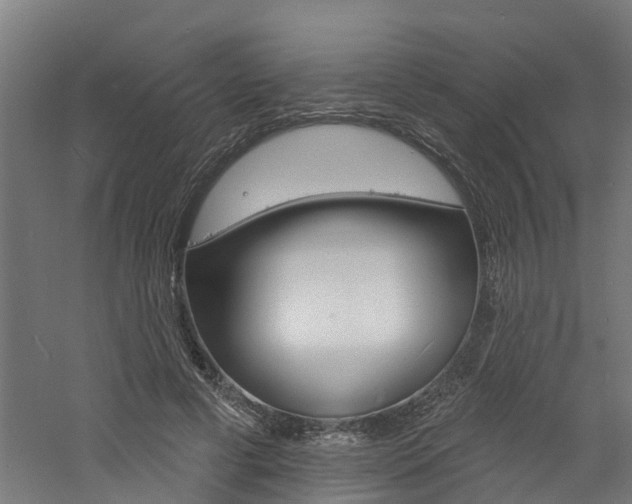 X0000060790593200511101036