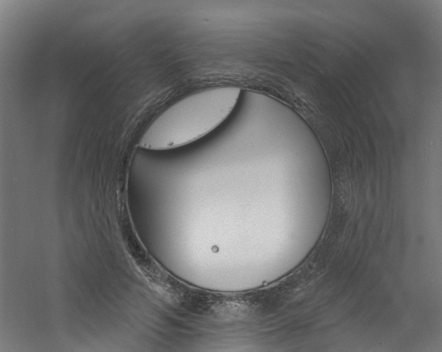 X0000060790594200511101036