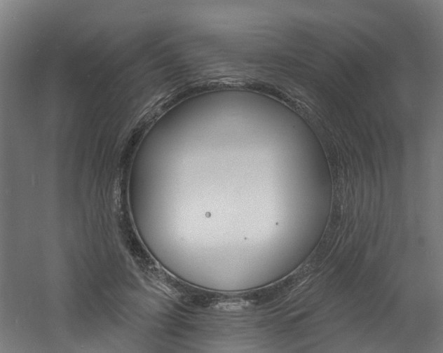 X0000060790595200511101036