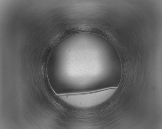 X0000060790597200511101036