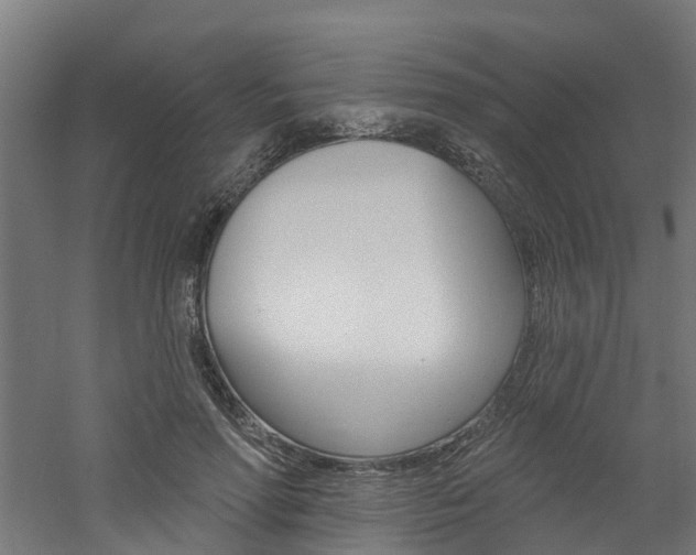 X0000060790598200511101036