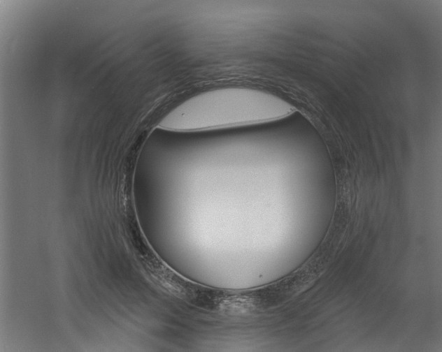 X0000060790599200511101036