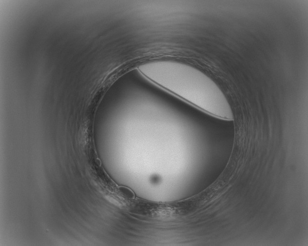 X0000060790600200511101036