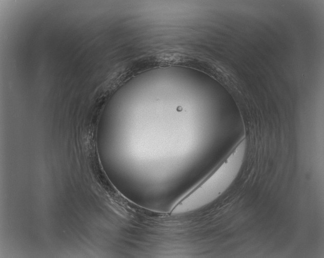 X0000060790601200511101036