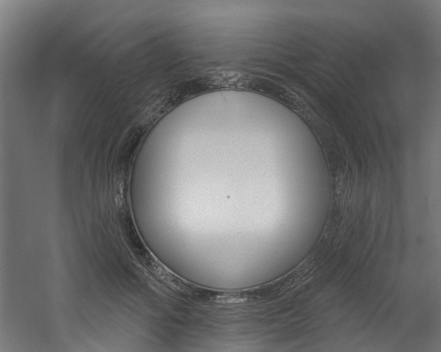 X0000060790602200511101036