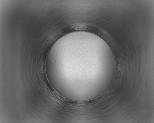 X0000060790604200511101036