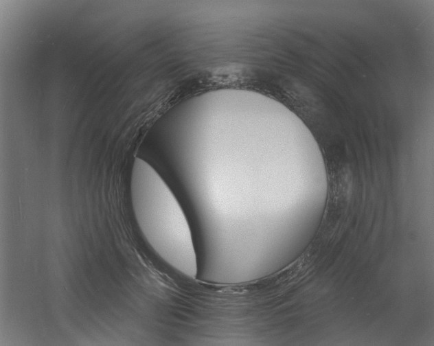 X0000060790606200511101036