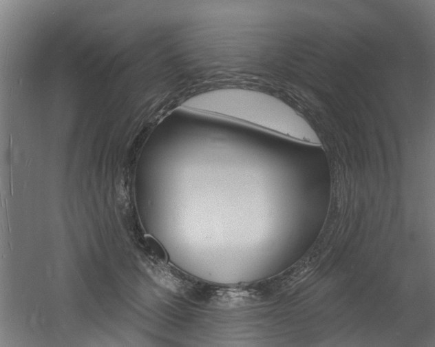 X0000060790607200511101036