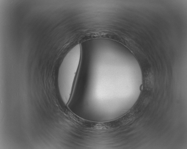 X0000060790608200511101036