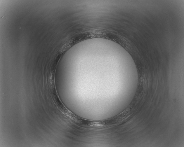 X0000060790610200511101036