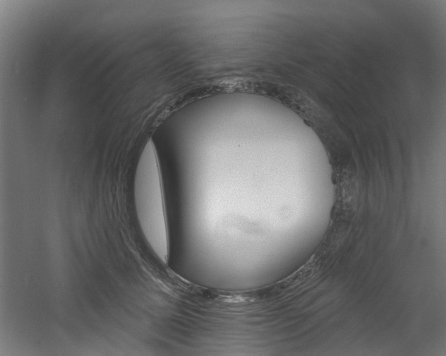 X0000060790611200511101036