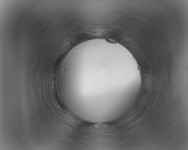 X0000060790612200511101036