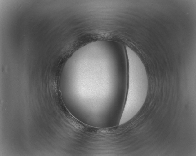 X0000060790613200511101036