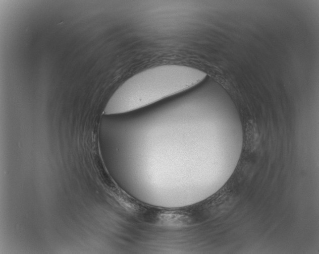 X0000060790614200511101036