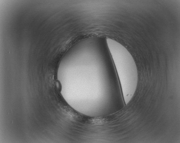 X0000060790615200511101036