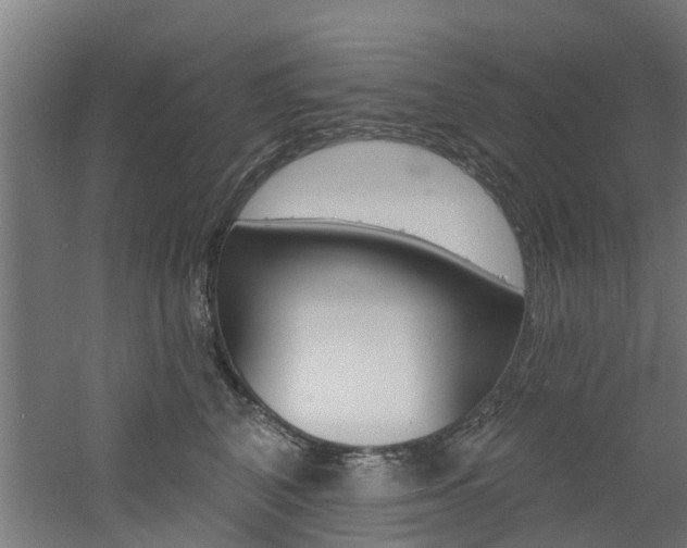 X0000060790616200511101036