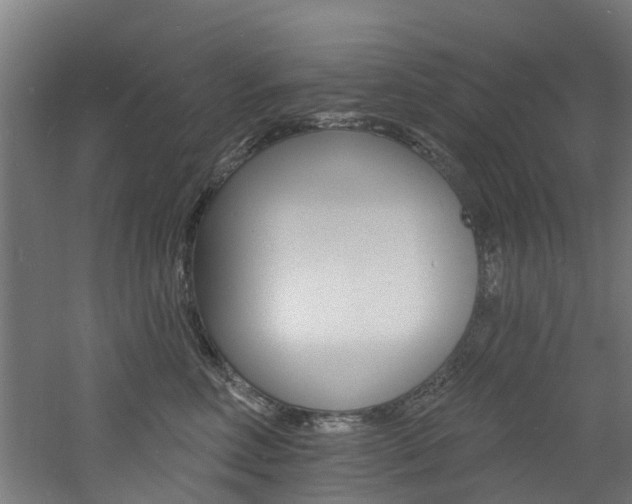 X0000060790618200511101036