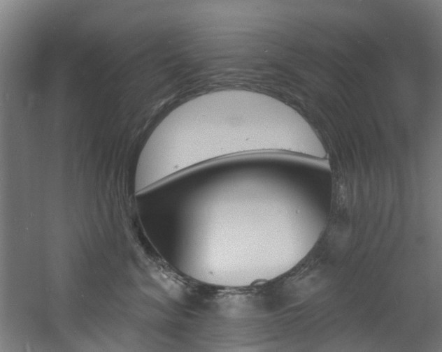 X0000060790620200511101036