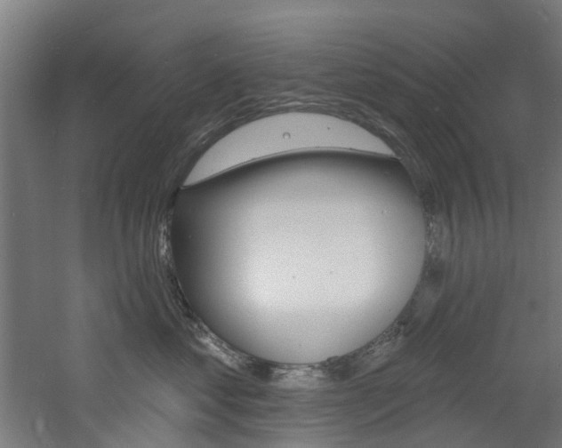 X0000060790621200511101036