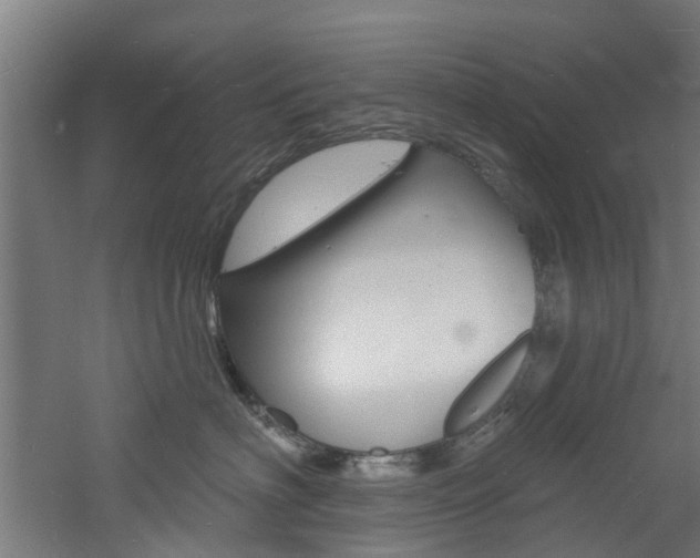 X0000060790622200511101036