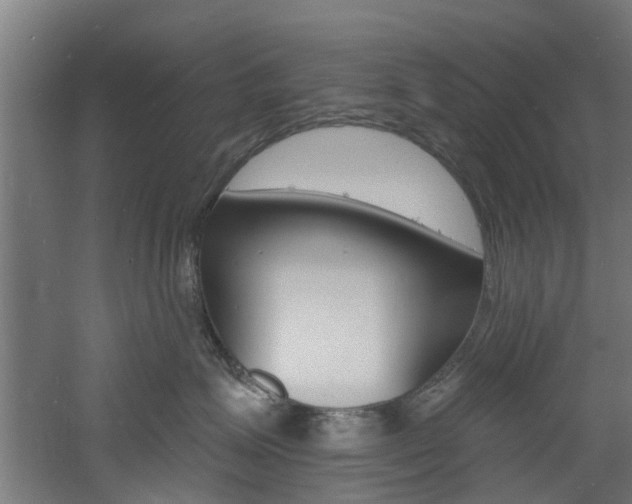 X0000060790623200511101036