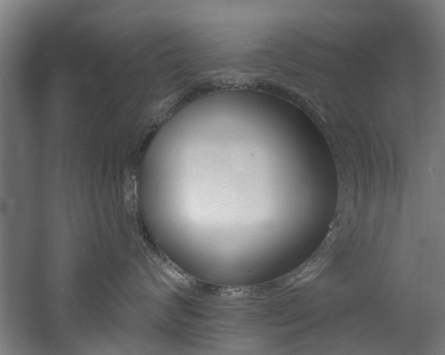 X0000060790624200511101036