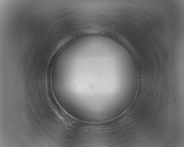 X0000060790626200511101035