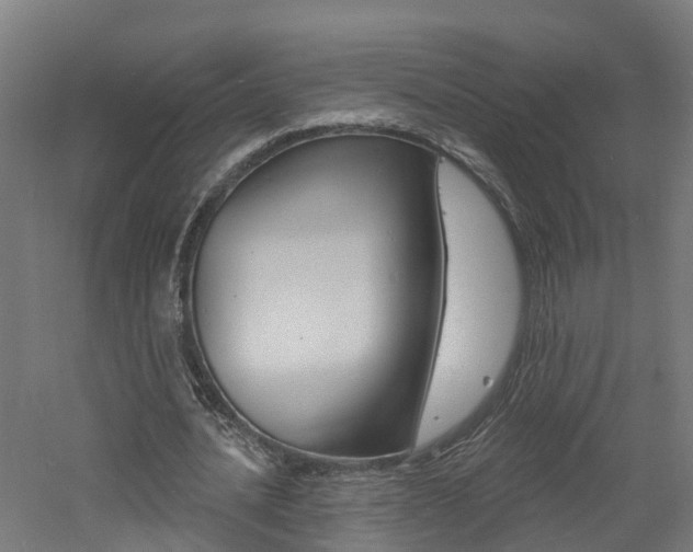 X0000060790628200511101035