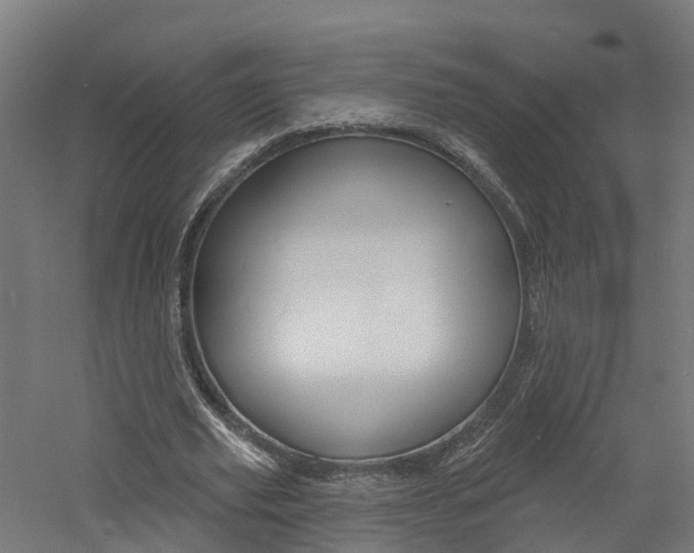 X0000060790629200511101035