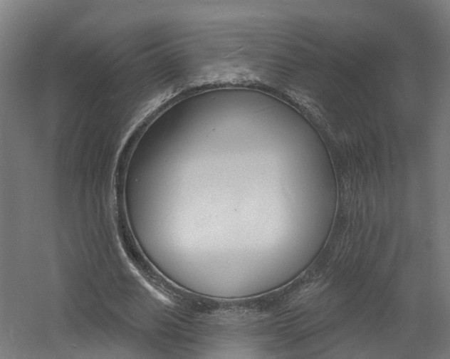 X0000060790630200511101035