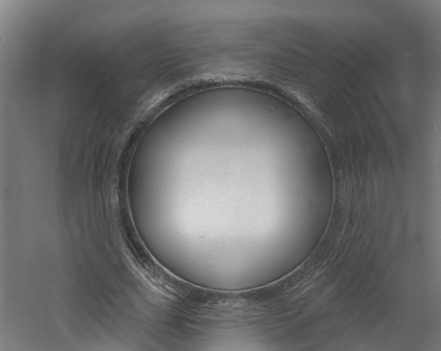 X0000060790631200511101035