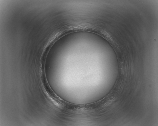 X0000060790634200511101035