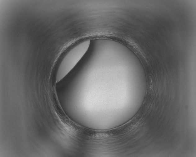 X0000060790636200511101035