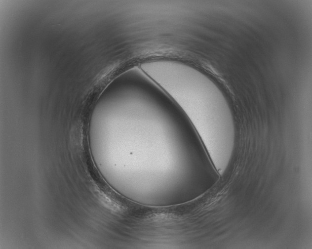 X0000060790637200511101035