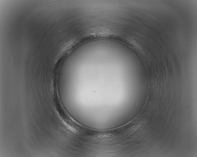 X0000060790638200511101035