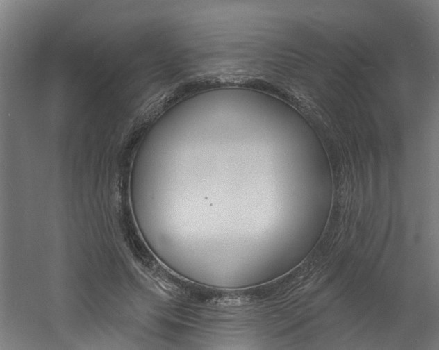 X0000060790639200511101035