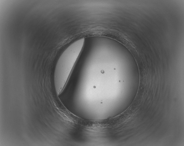 X0000060790641200511101035