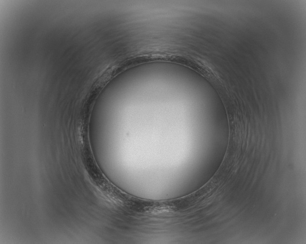 X0000060790643200511101035