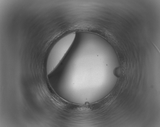 X0000060790644200511101035