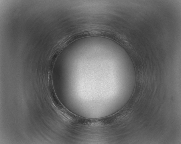 X0000060790645200511101035