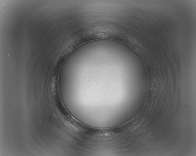 X0000060790646200511101035