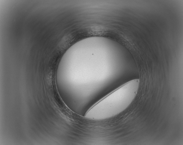 X0000060790647200511101035